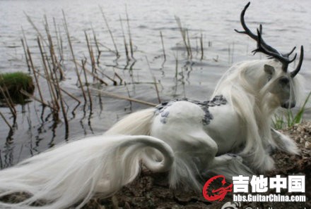 神马.jpg