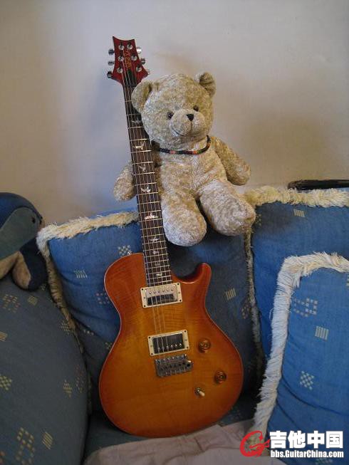 prs  gibson 020.jpg