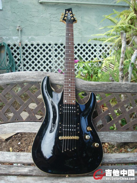 SCHECTER USA.jpg