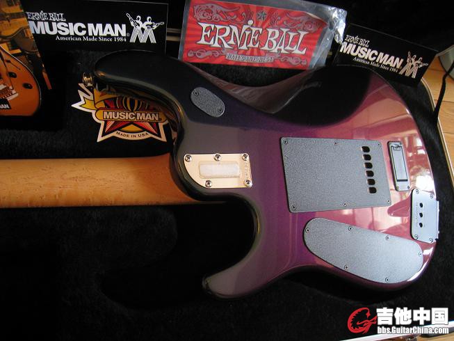 MUSIC MAN  JP6新款变色龙 011.jpg