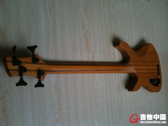 BASS5.jpg