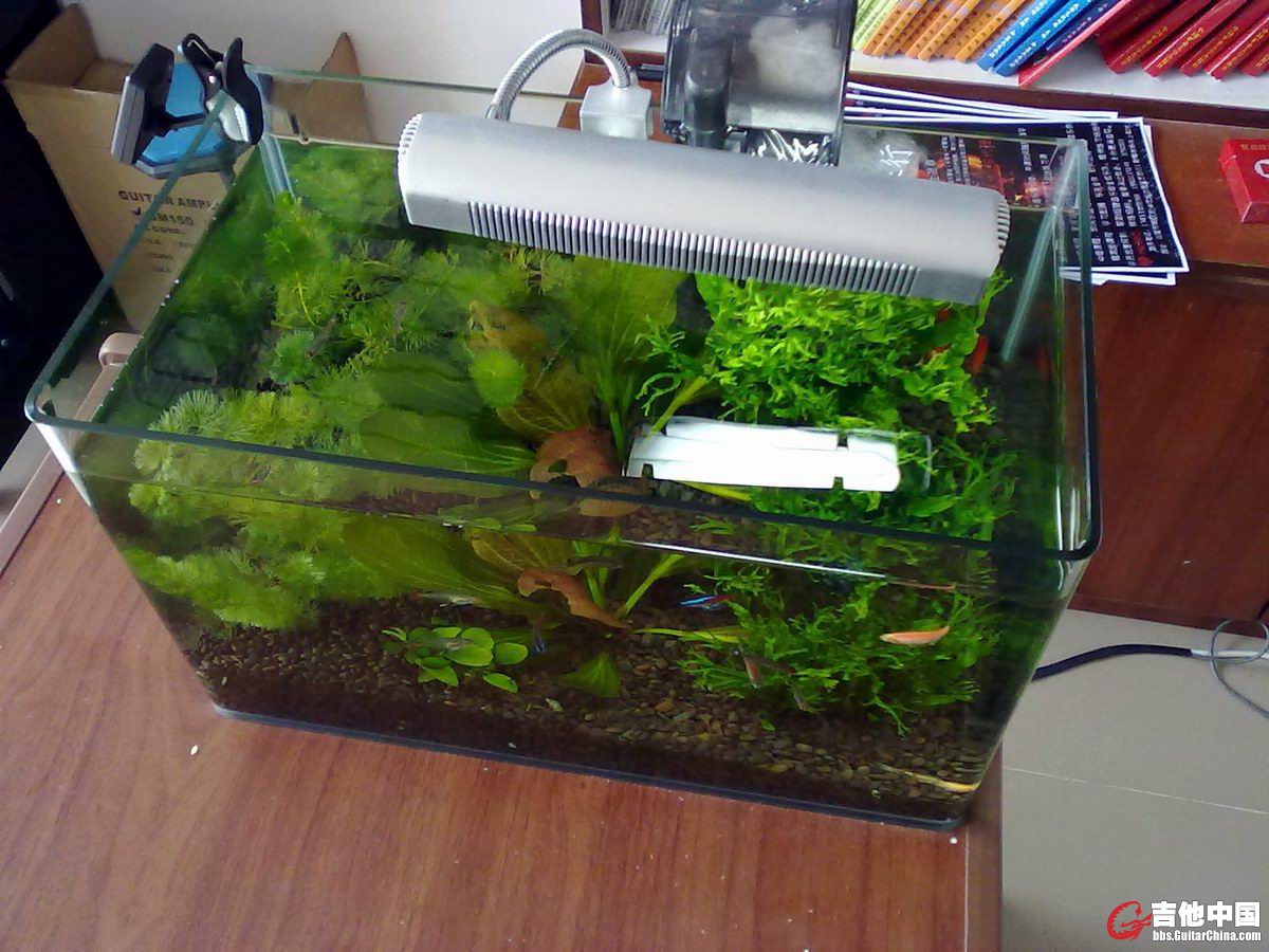 20110719474.jpg