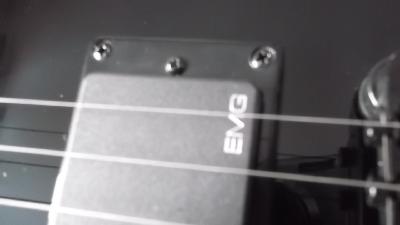 DSCF0623.JPG