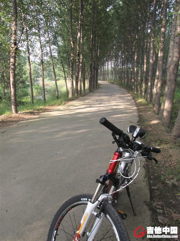 222.jpg