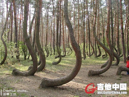 这是谁干的？把屁股拿过来对证