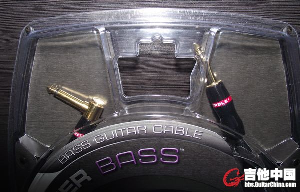 BASS-21A.JPG