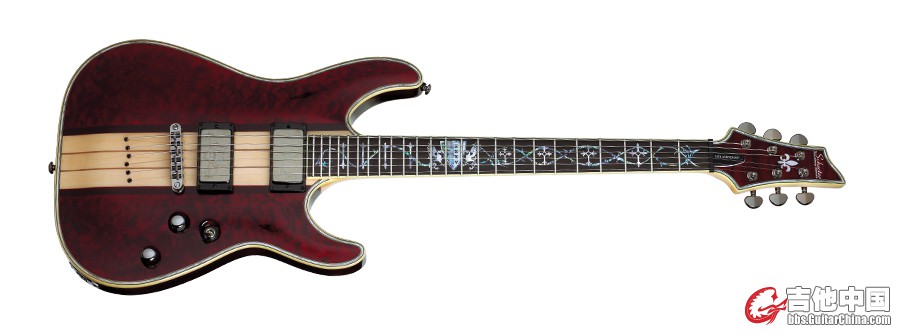 schecter_213.jpg