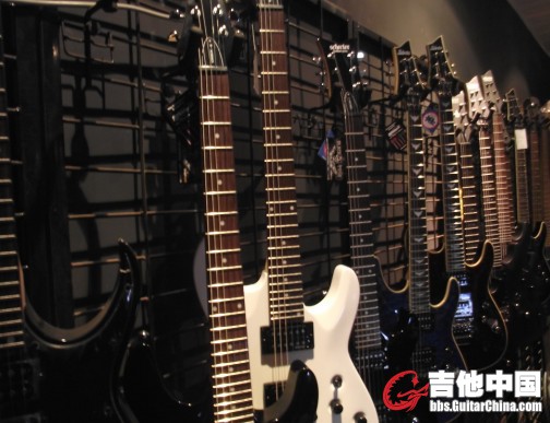 部分SCHECTER.jpg