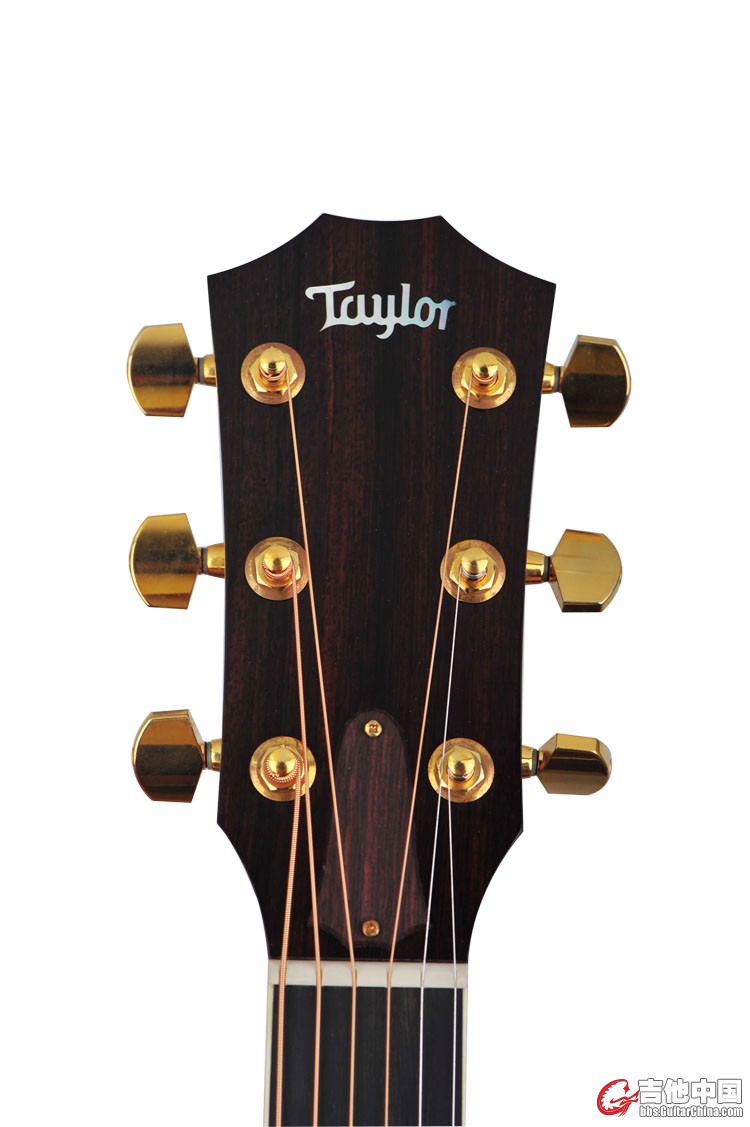 Taylor GS8 琴头正面