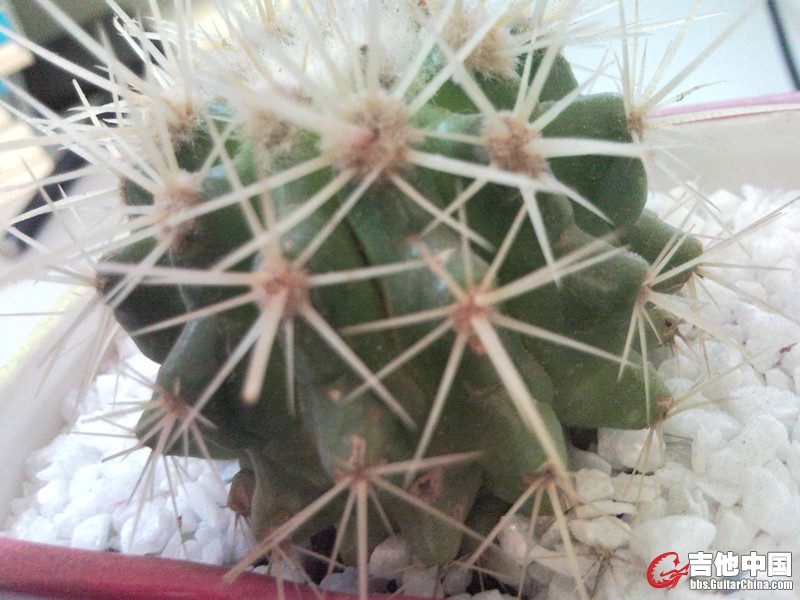 SNC00026_副本.jpg
