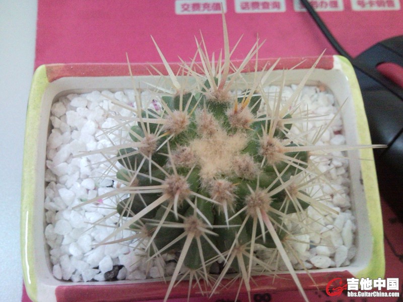 SNC00027_副本.jpg