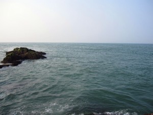 还是海水，没看见鲨鱼哈.jpg