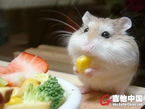后来媳妇离我而去，我只能....靠吃来发泄