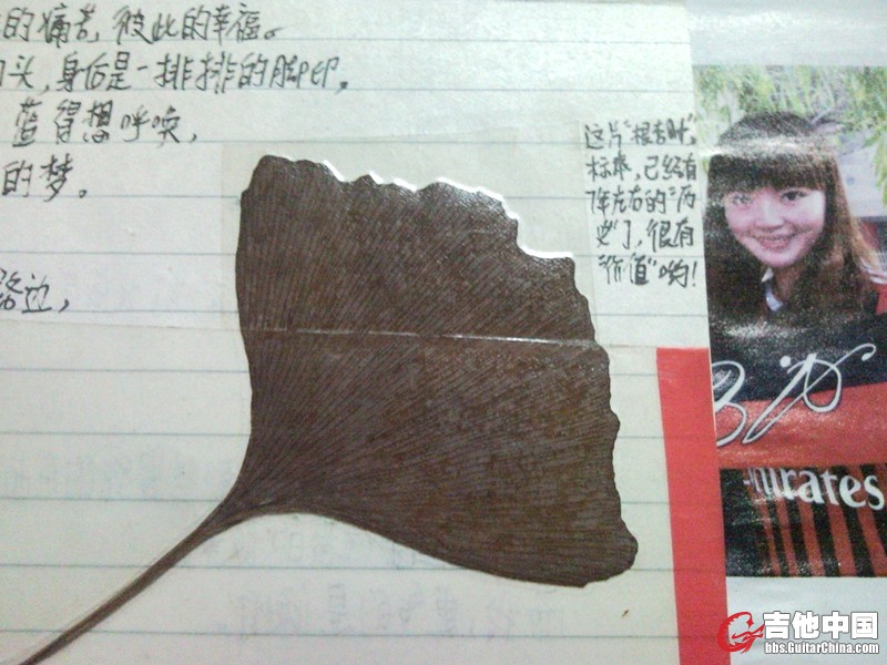 SNC00029_副本.jpg