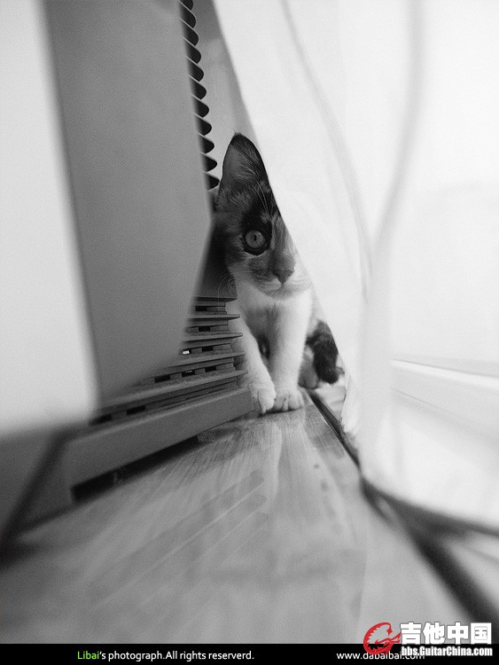 _9167001.jpg
