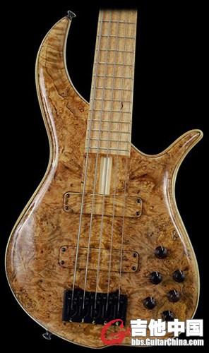 maple burl