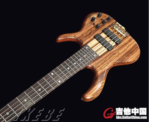 macassar ebony fret.jpg