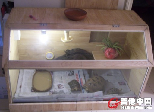 龟箱.jpg