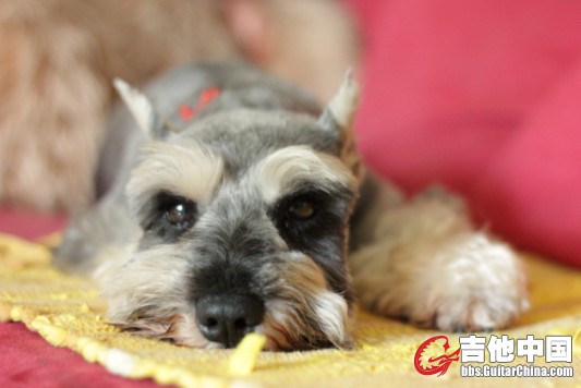 奥黛丽6.jpg