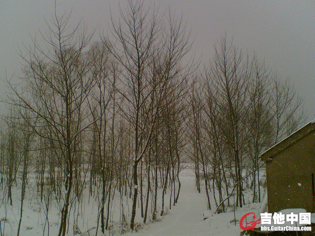 (013).jpg