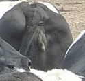 QQ截图20111023121451.png