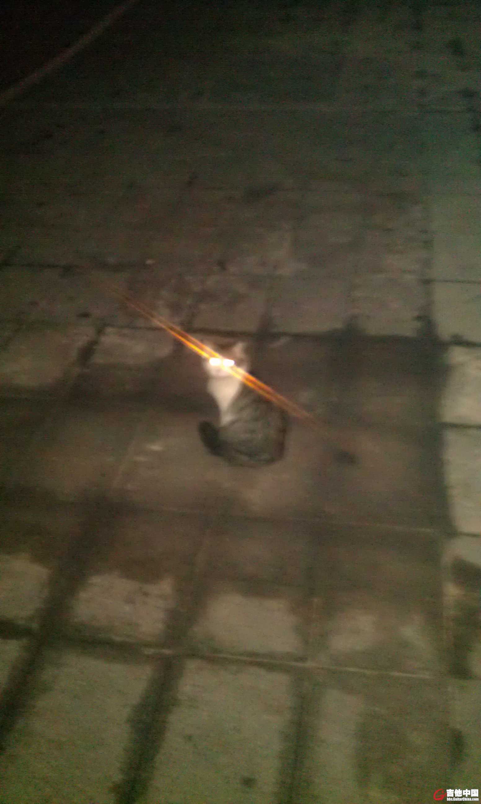 IMAG0475.jpg