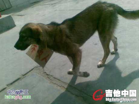 无标题4.JPG