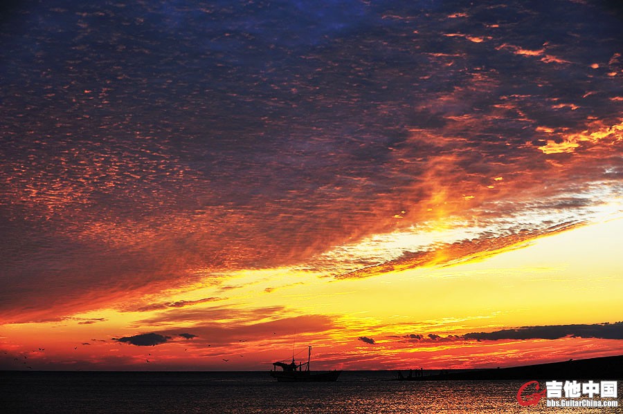 DSC_9453.jpg