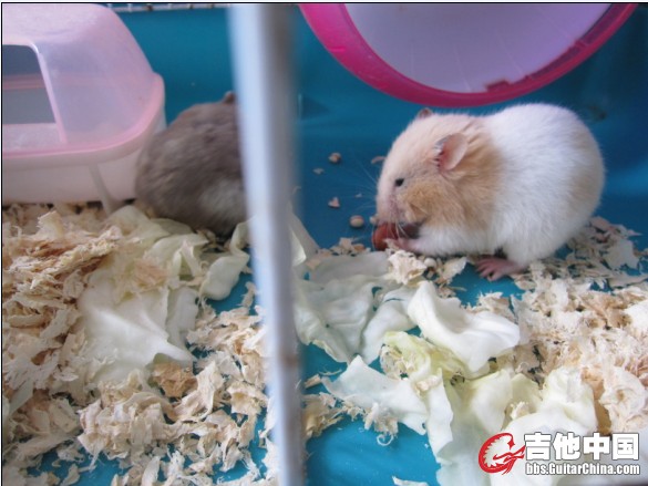 它是正常的