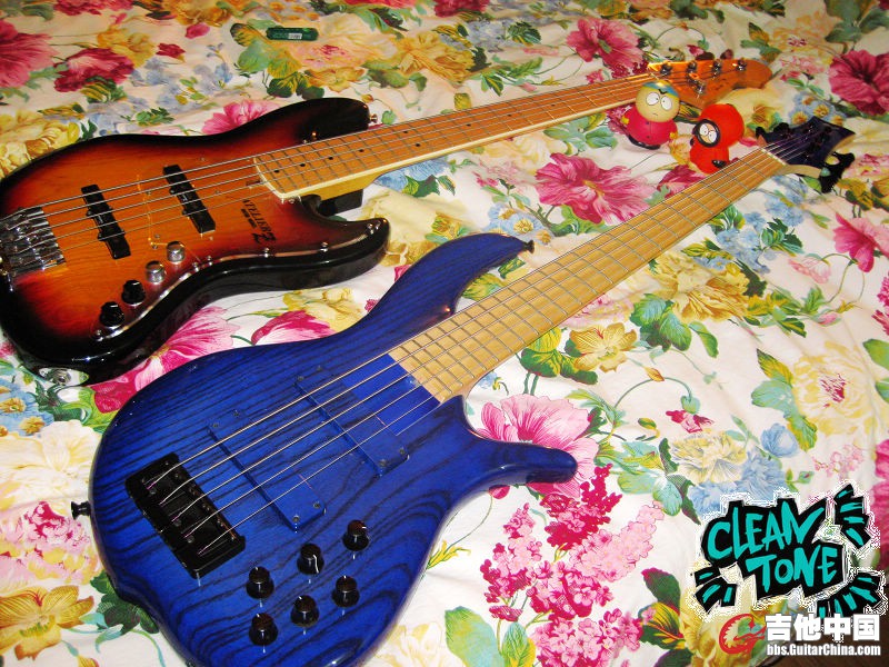 0808bass 011s.jpg