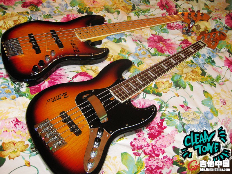 0808bass 010s.jpg
