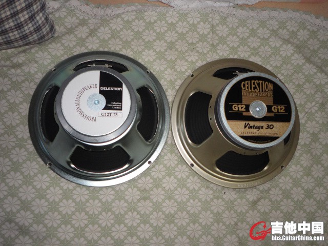 DSC03445.JPG