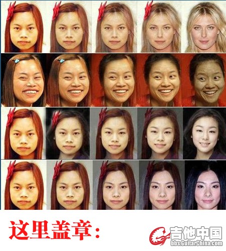 进化过程副本.jpg