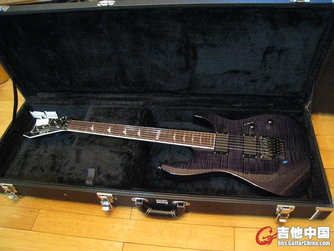 ESP LTD 300 008.jpg