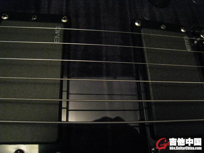 ESP LTD 300 013.jpg