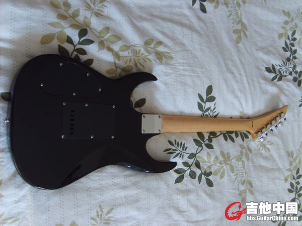 S5002614.jpg