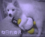190045ibzrbi7fldbw4bkw.gif