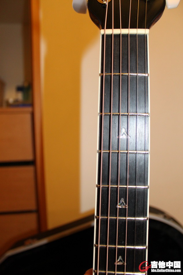 ovation_29.JPG