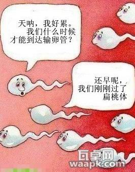 221030404zig7sgghogiiz.jpg