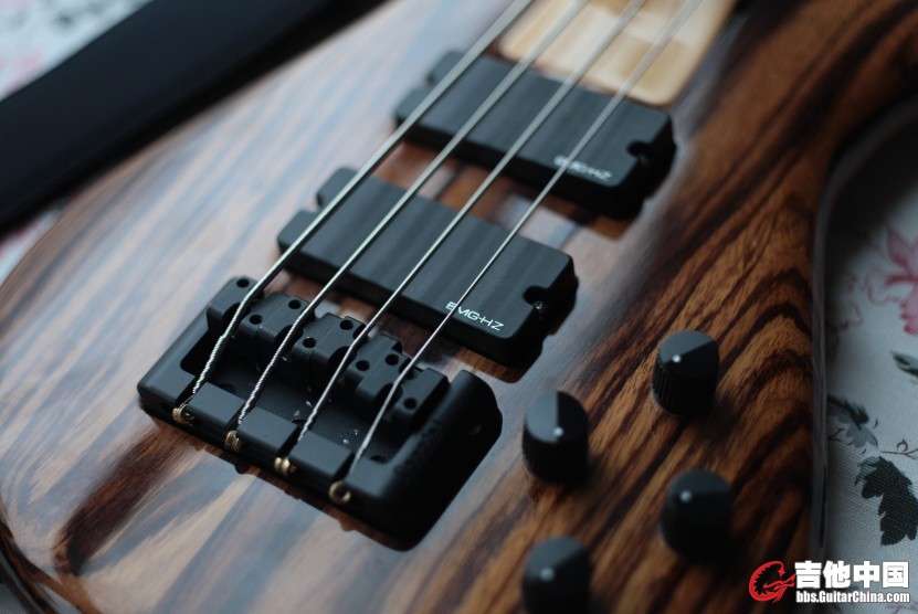 EMG HZ拾音器