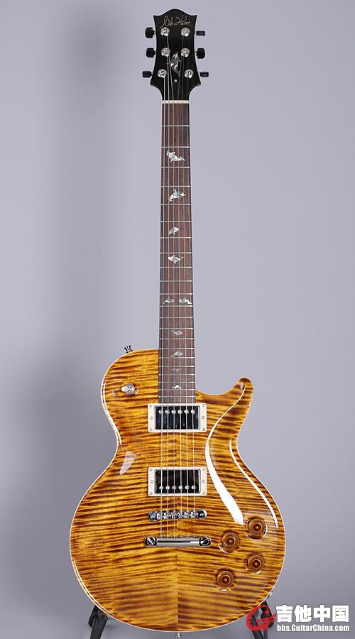 ORCA-Yellow-Tiger01.jpg