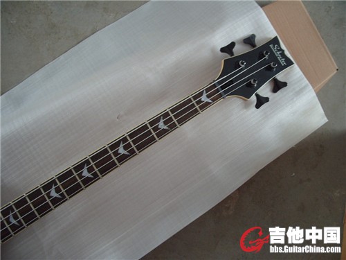 schecter4_副本.jpg