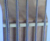 IMG0151A.jpg