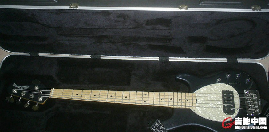 Music Man Sterling 5 H Bass.JPG