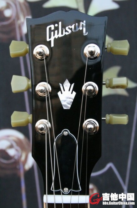 SG2.jpg