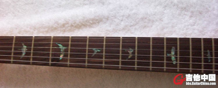 354646.jpg