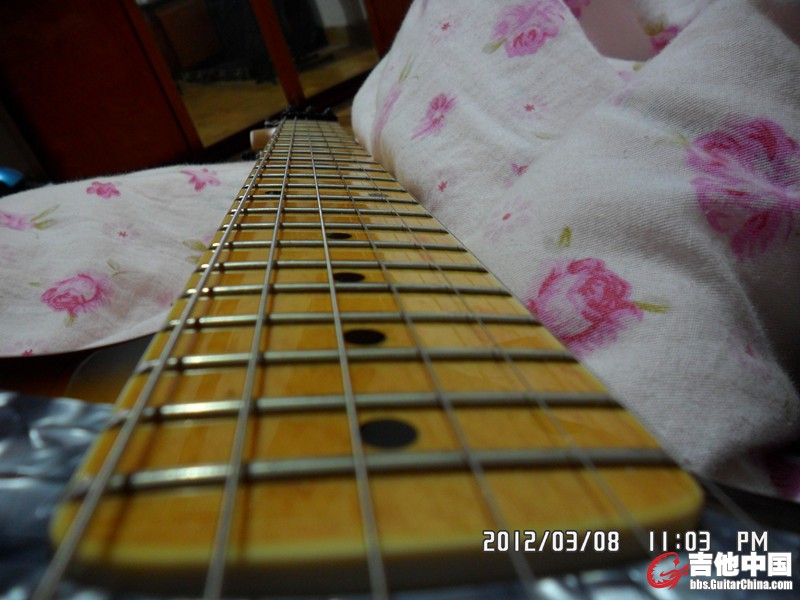 SAM_0084_副本.jpg