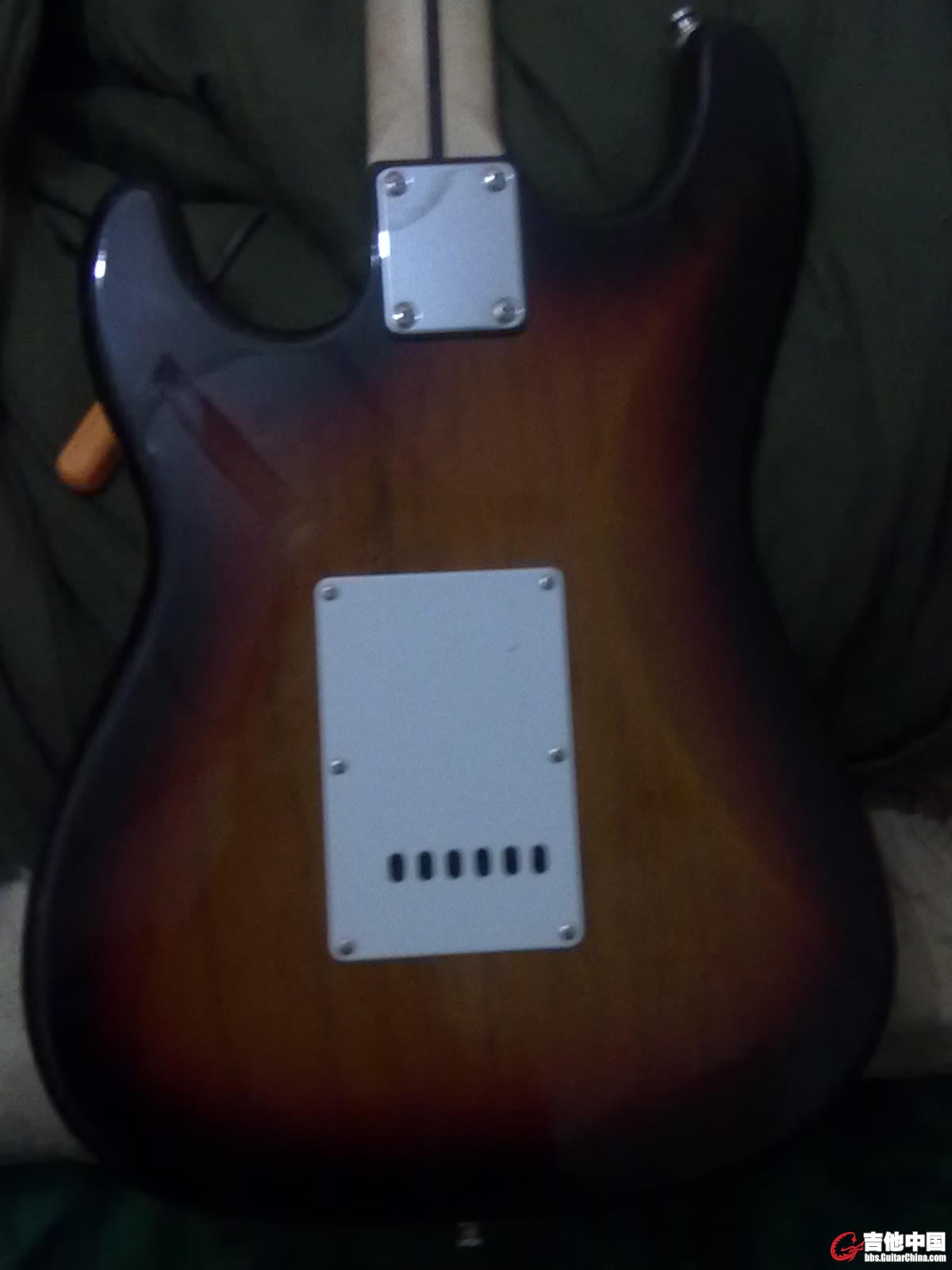 20120308663.jpg