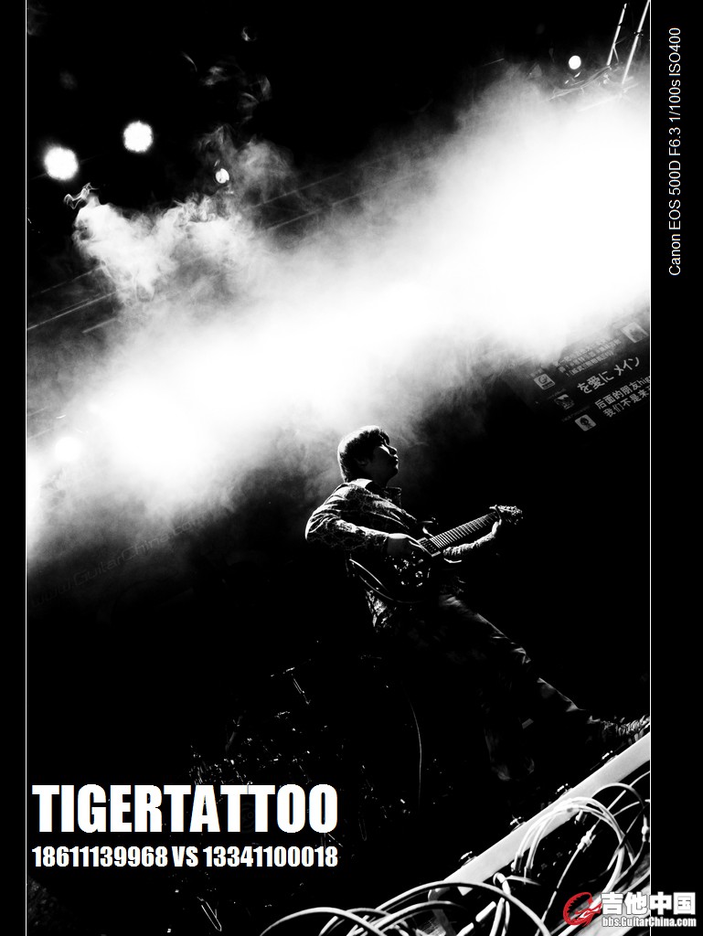 tigertattoo-5704.jpg