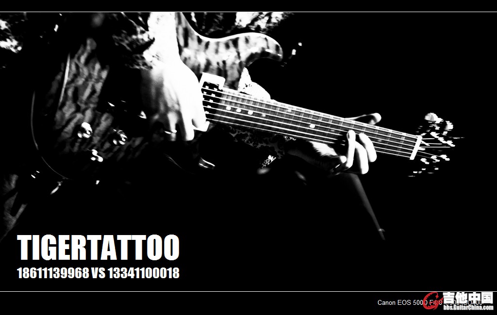 tigertattoo-5691.jpg